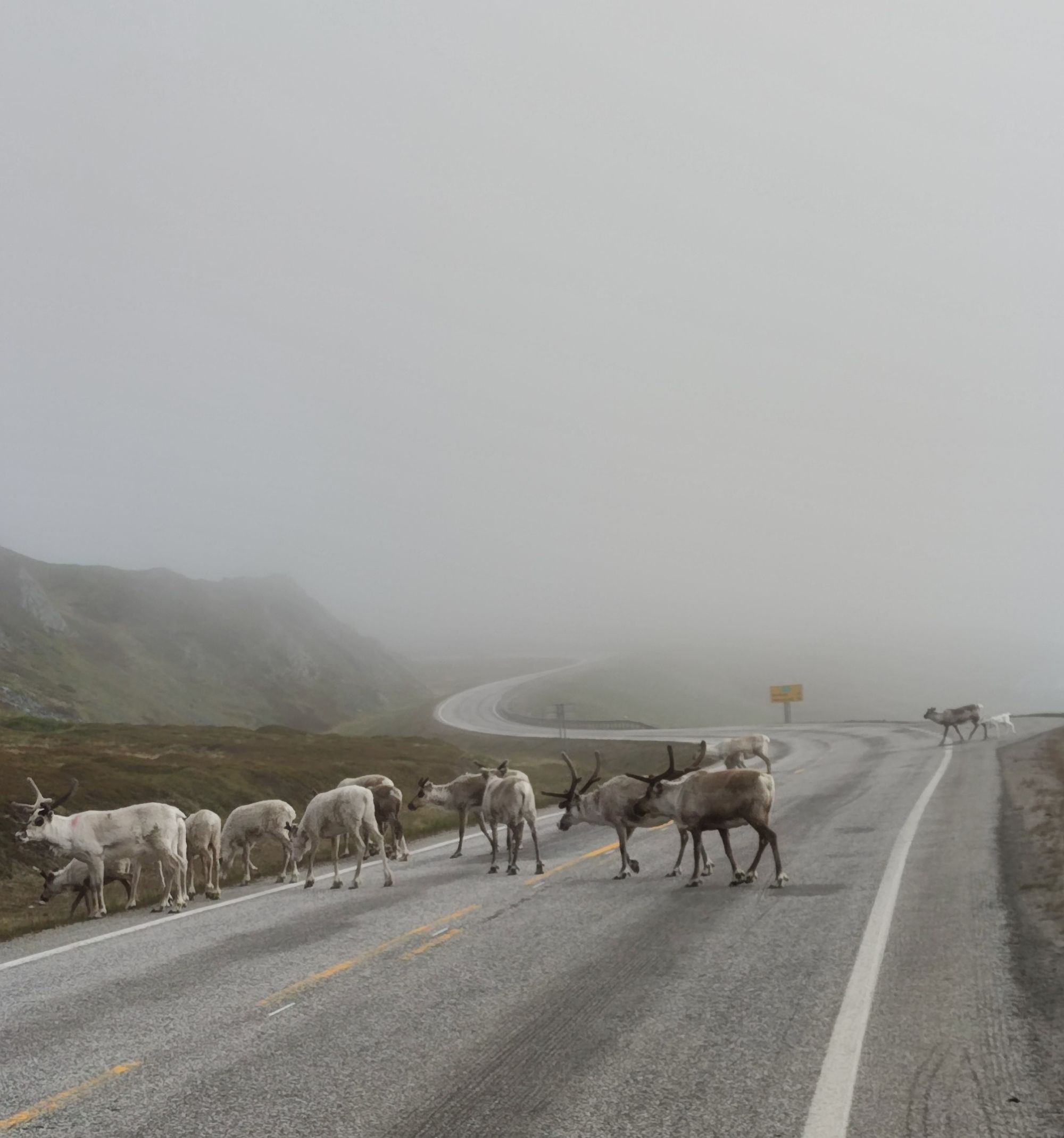 Cycling from Strasbourg (France) to Nordkapp: My 5,000 km Nordic Odyssey in 37 Days