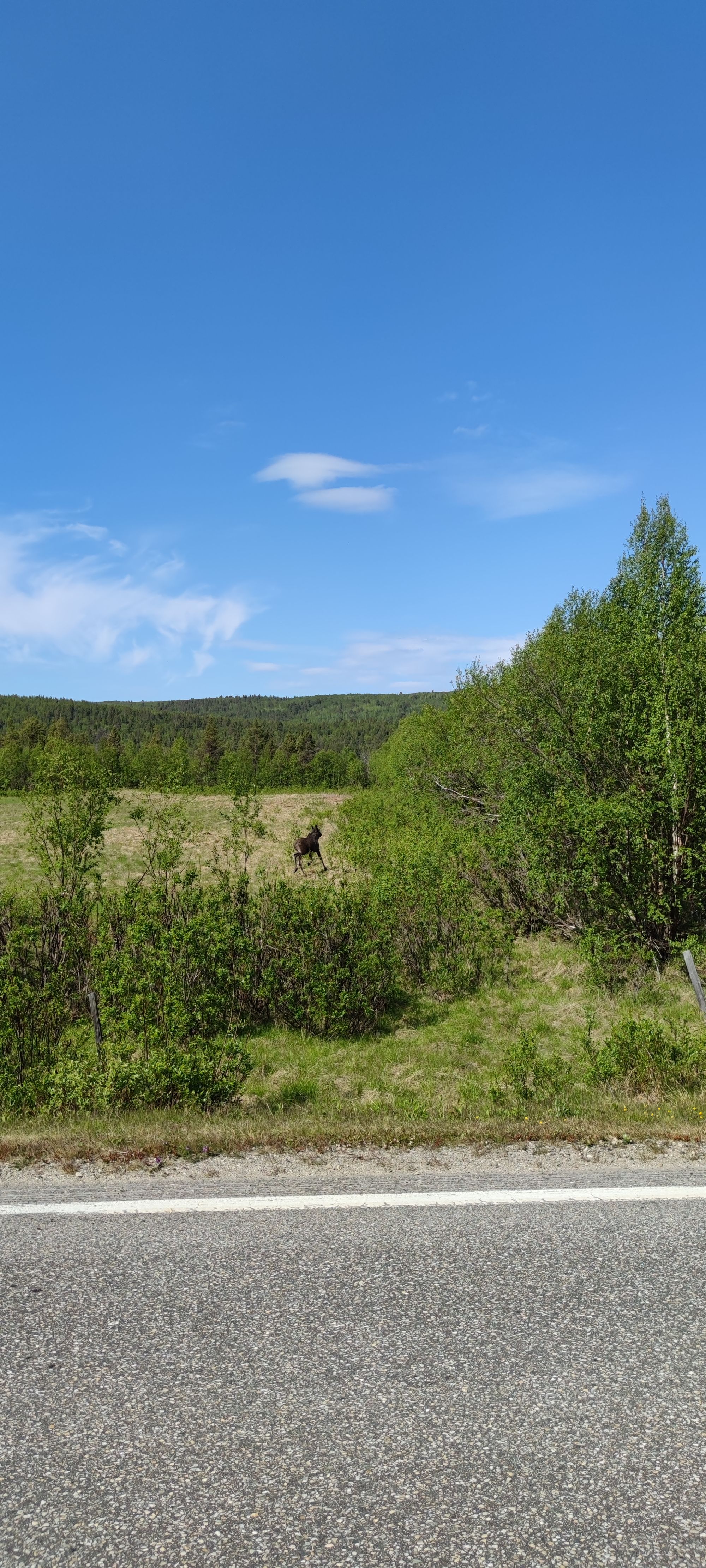 Cycling from Strasbourg (France) to Nordkapp: My 5,000 km Nordic Odyssey in 37 Days