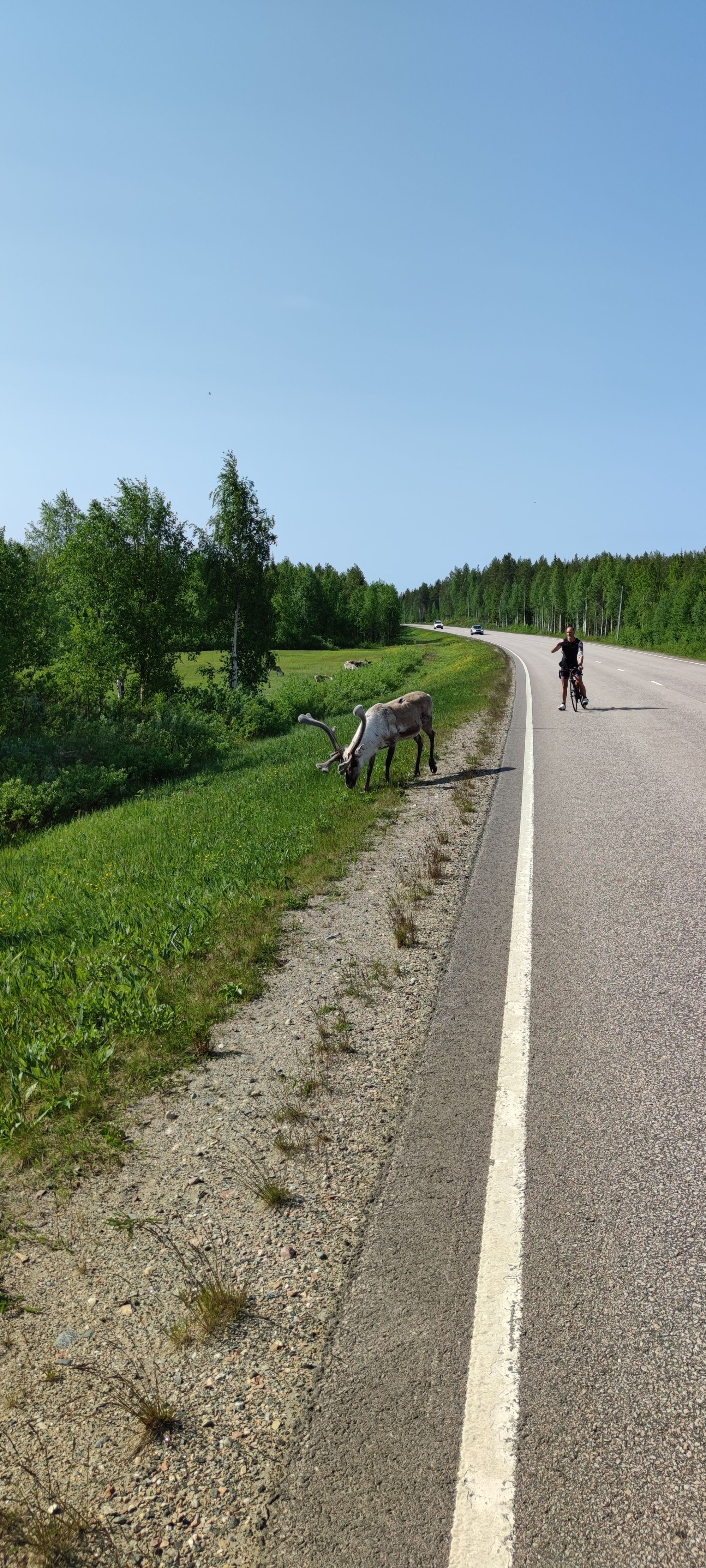 Cycling from Strasbourg (France) to Nordkapp: My 5,000 km Nordic Odyssey in 37 Days